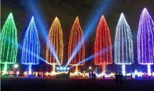 足立区・竹ノ塚で「光の祭典」開催中！70万球のイルミネーション