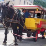 栃木・塩原温泉街の名物「トテ馬車」5年ぶりに期間限定で復活！