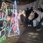 郡山駅周辺で「ビッグツリーページェント」開幕！来年 2/14まで