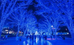 東京・渋谷で、冬の人気イベント「青の洞窟 SHIBUYA」スタート！