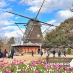 ふなばしアンデルセン公園で「チューリップまつり」1/31日まで！