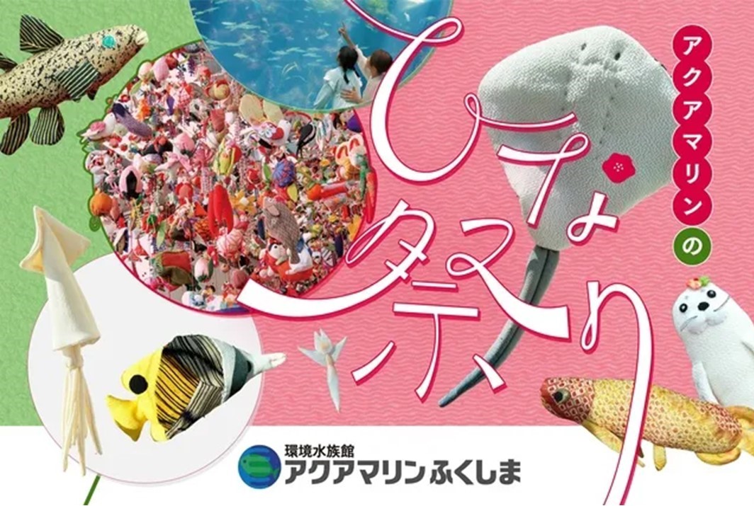 いわき市「アクアマリンふくしまのひな祭り」2/11日~ 開催!