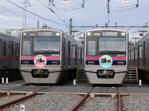 京成電鉄「ありがとうシャオシャオ・レイレイ記念乗車券を発売！1/16日～