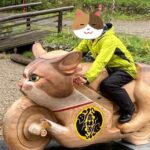 山口・萩市の「猫寺」に「猫バイク」？ バイカーらの人気スポットに！