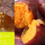 相模原 麻溝公園で「さがみはらやきいもマルシェ」2/22～23日