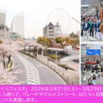 横浜の春の風物詩「みなとみらい21さくらフェスタ」3/21日～開催！