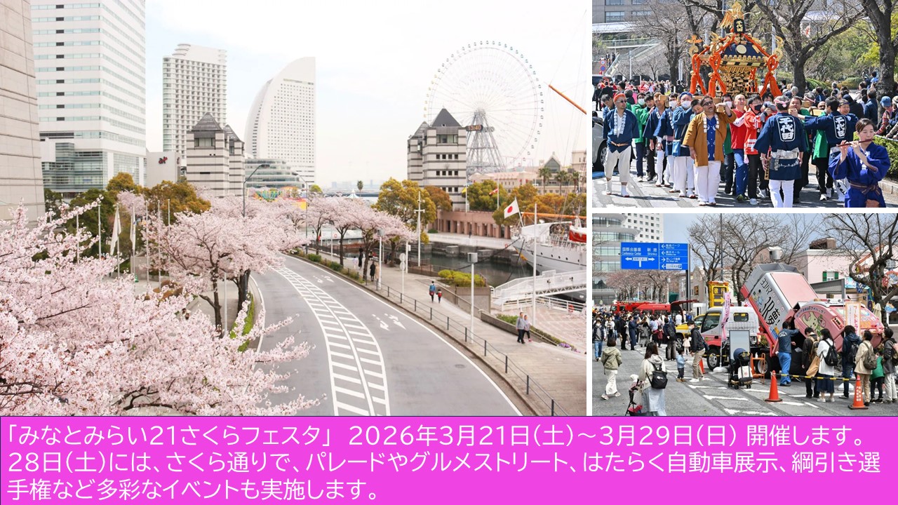 横浜の春の風物詩「みなとみらい21さくらフェスタ」3/21日～開催！