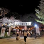 東京・墨田区の錦糸公園で「桜まつり」夜はライトアップも！3/6日～