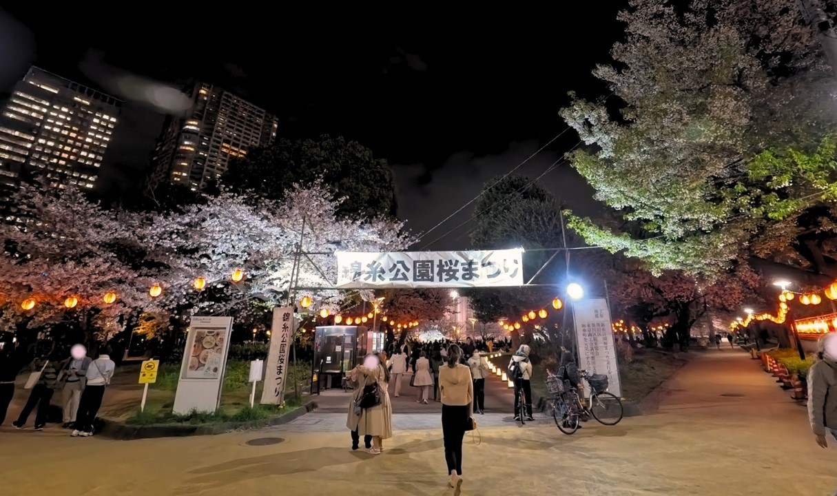 東京・墨田区の錦糸公園で「桜まつり」夜はライトアップも!3/6日~