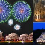 常陸大宮で「辰ノ口桜まつり」幻想的な夜桜・花火・竹あかりの共演！