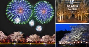 常陸大宮で「辰ノ口桜まつり」幻想的な夜桜・花火・竹あかりの共演！