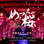 銀座で、金魚と桜のアートアクアリウム「めっちゃ桜2026」開催！4/22日まで