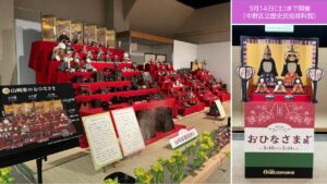 中野区立歴史民俗資料館で、公爵家や山崎家のひな段飾りを公開展示！