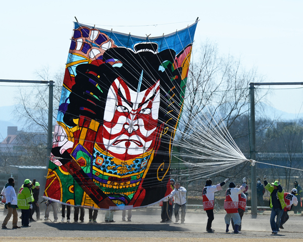 前橋で「空っ風凧揚げ大会」開催!20畳の大凧が大空を舞う!2/7日