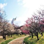 大阪・万博記念公園で「梅まつり」利き梅酒＆梅スイーツも！2/7～