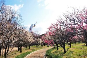 大阪・万博記念公園で「梅まつり」利き梅酒＆梅スイーツも！2/7～