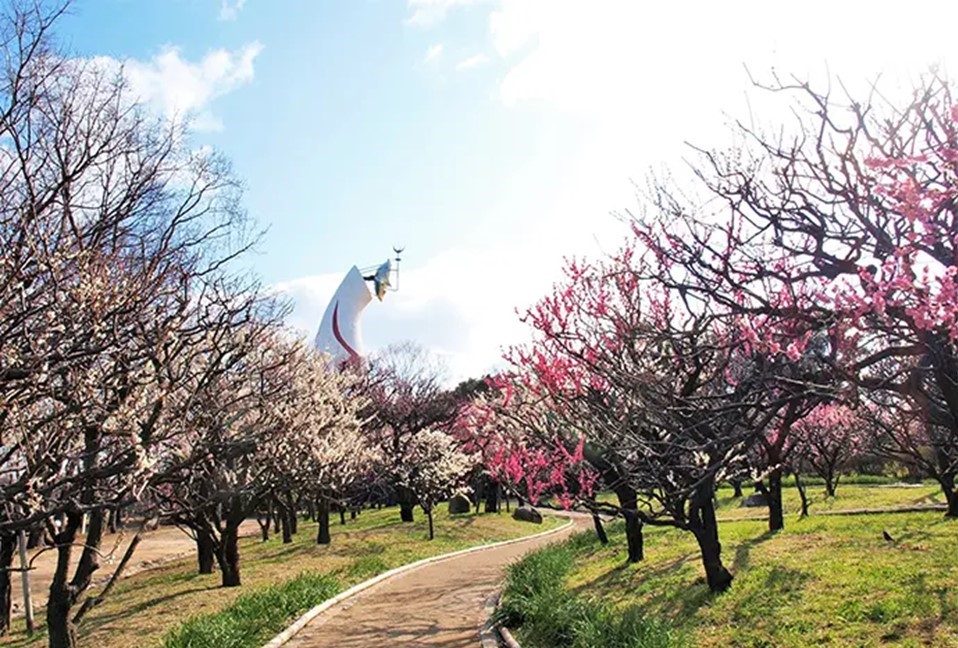大阪・万博記念公園で「梅まつり」利き梅酒＆梅スイーツも！2/7～