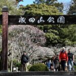 千葉・成田山公園で、恒例の「成田の梅まつり」開催！2/14日～