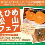 横須賀朝市で「えひめ松山フェア」初開催！ 養殖エビの試食も  2/14～