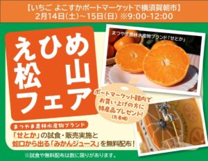横須賀朝市で「えひめ松山フェア」初開催！ 養殖エビの試食も  2/14～