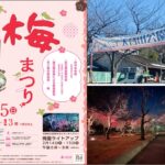 足立区・大谷田公園で「梅まつり」2/15開催！2/14・15はライトアップも