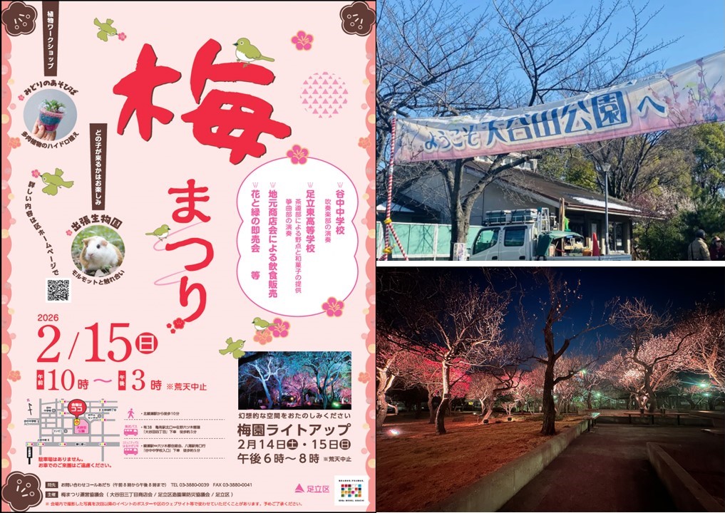 足立区・大谷田公園で「梅まつり」2/15開催！2/14・15はライトアップも