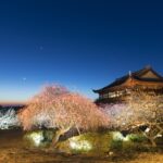 兵庫「世界の梅公園」で夜間のライトアップ開始！ 7日～ 4日開催