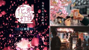 新宿に桜色ランタンが舞う！お花見イベント「花見灯夜」開催！4/1日～