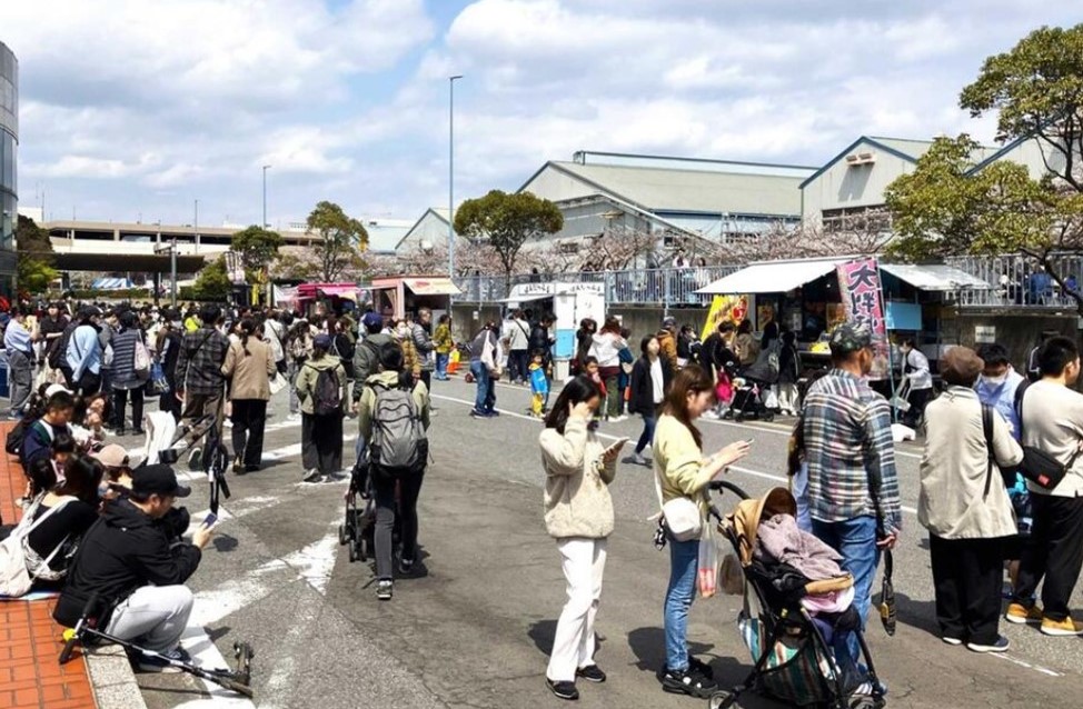 千葉県蘇我で「第14回 JFEさくらまつり」桜並木を一般開放！4/4日