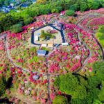 春は笠間へ行こう！「あたご山桜まつり」と「笠間つつじまつり」開催！