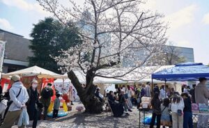 東京・代々木公園でフェス「SPRING LOVE 春風」開催！3/28～29日