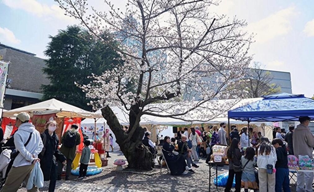 東京・代々木公園でフェス「SPRING LOVE 春風」開催!3/28~29日