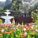 熱海でバラの季節イベント「アカオ ローズ フェスタ」開催！4/21日～