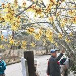 山形市「野草園」に春の訪れ、今シーズンのプレオープン！3/28日～
