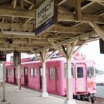 【悲報】南海フェリーの撤退で「和歌山港駅」の今後の行方は？