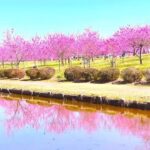 茨城・古河公方公園で「第50回 古河桃まつり」可愛いハナモモが満開！