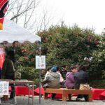 江津市・椿の里で、春の風物詩「椿まつり」開催中！100種・700本が見ごろ