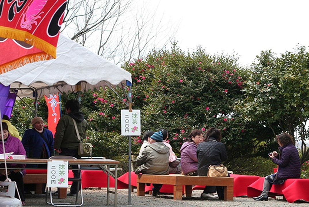 江津市・椿の里で、春の風物詩「椿まつり」開催中!100種・700本が見ごろ