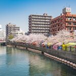横浜市でも屈指の桜の名所「大岡川プロムナード」で桜が見ごろ！