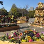 東京・木場公園「花と光のムーブメント」3/15まで！夜はライトアップも