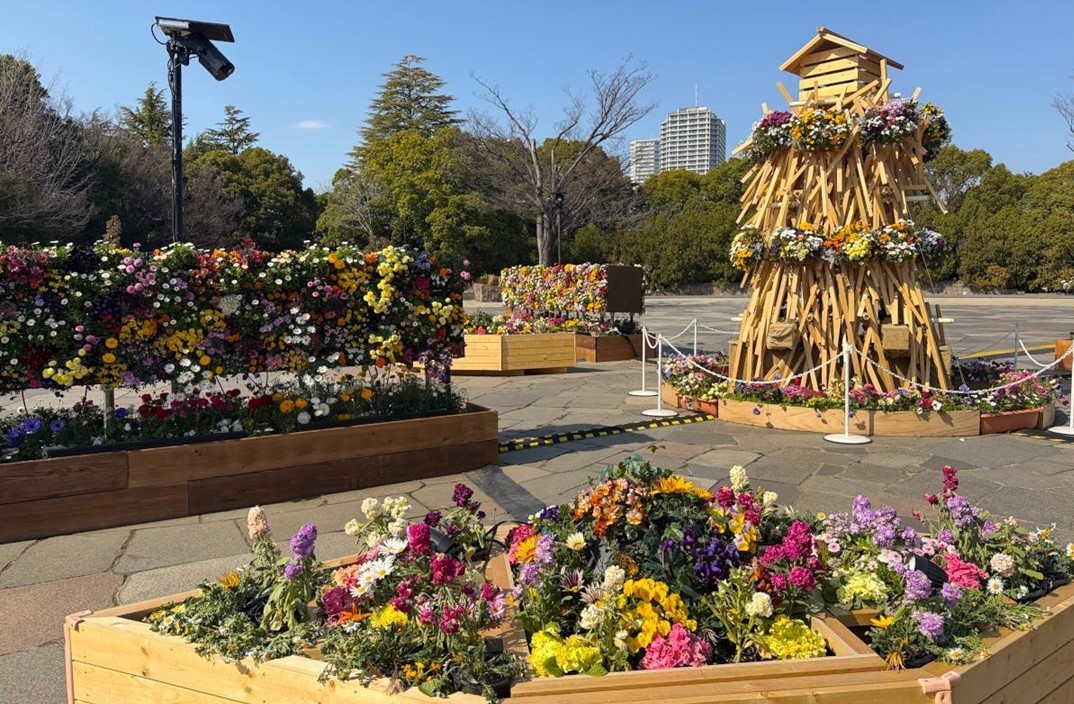 東京・木場公園「花と光のムーブメント」3/15まで！夜はライトアップも