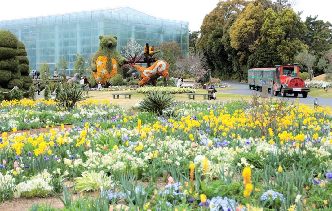 浜名湖周辺を舞台にした春のイベント、「浜名湖花フェスタ」開催中!6/7日まで