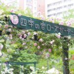 練馬区・四季の香ローズガーデンで「ハッピーイースター」3月21日～開催！