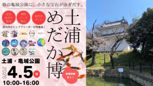 土浦市、亀城公園にめだか大集合「第2回 土浦めだか博」開催！4/5日