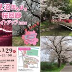 約20キロ？埼玉の日本一長い桜回廊「見沼代用水沿い」をぶらり散歩！