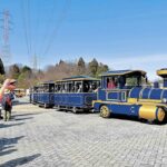 富山「太閤山ランド」でトレーン運行再開　春のオープンフェスタ開催！