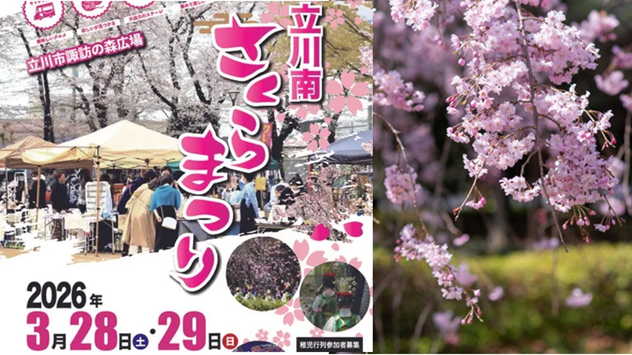 東京・立川市諏訪の森広場で「立川南さくらまつり」開催！3/28日～