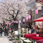 東京・目黒区、自由が丘南口で「桜まつり2026」開催！3/28日～