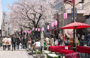 東京・目黒区、自由が丘南口で「桜まつり2026」開催!3/28日~