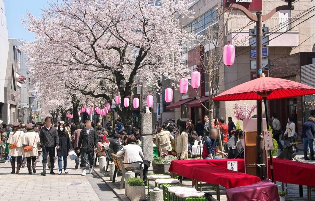 東京・目黒区、自由が丘南口で「桜まつり2026」開催!3/28日~